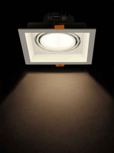 Светильник встраиваемый карданный "Фокус-1" LED CSL-01-1x11-WW 11 Вт, 35°, 3000 К, 80 Ra, IP20, TDM фото 4