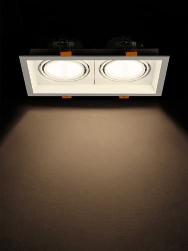Светильник встраиваемый карданный "Фокус-1" LED CSL-01-2x11-WW 22 Вт, 35°, 3000 К, 80 Ra, IP20, TDM фото 4