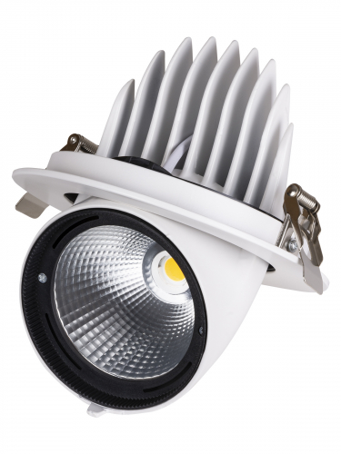 Светильник встраиваемый поворотный "Акцент-1" LED DSL-01-040-NW 40 Вт, 24°, 4000 К, 90 Ra, IP40, TDM фото 6