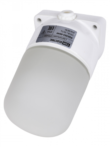 Светильник НПБ400-1 для сауны настенный, наклонный, IP54, 60 Вт, белый, TDM фото 2