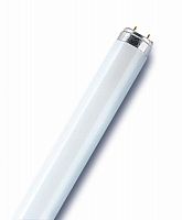 Лампа люминесцентная L 36W/640 36Вт T8 4000К G13 �