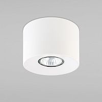 3198 Orion Gold