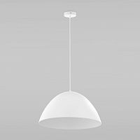 6007 Faro New