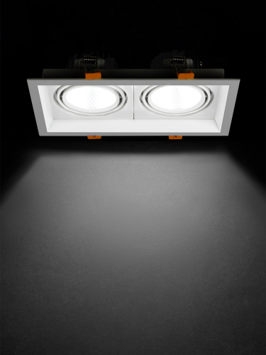 Светильник встраиваемый карданный "Фокус-1" LED CSL-01-2x11-NW 22 Вт, 35°, 4000 К, 80 Ra, IP20, TDM фото 4