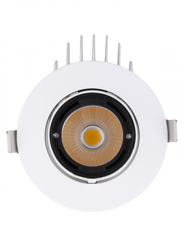 Светильник встраиваемый поворотный "Акцент-1" LED DSL-01-030-NW 30 Вт, 24°, 4000 К, 90 Ra, IP40, TDM фото 3