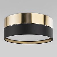 2579 Hilton Black Gold